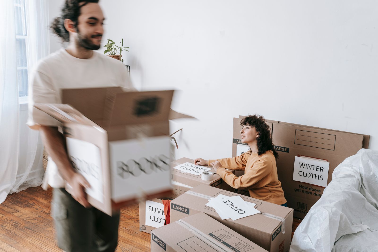 People packing labelled boxes in a room